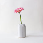 Ribbed Candle Holder/Bud Vase, Large