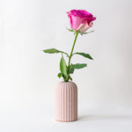 Ribbed Candle Holder/Bud Vase, Large