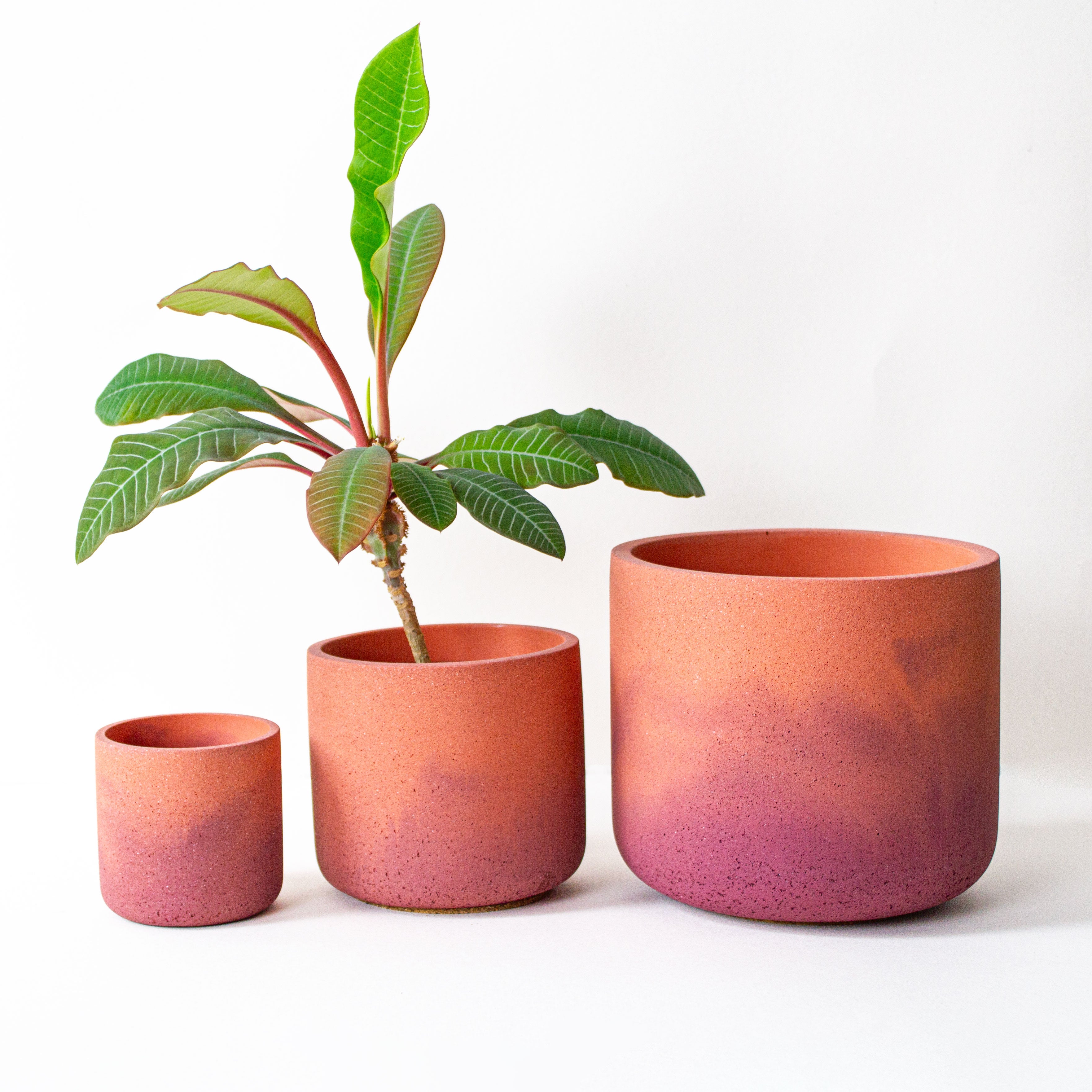Fade Pots, Brick