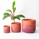 Fade Pots, Brick