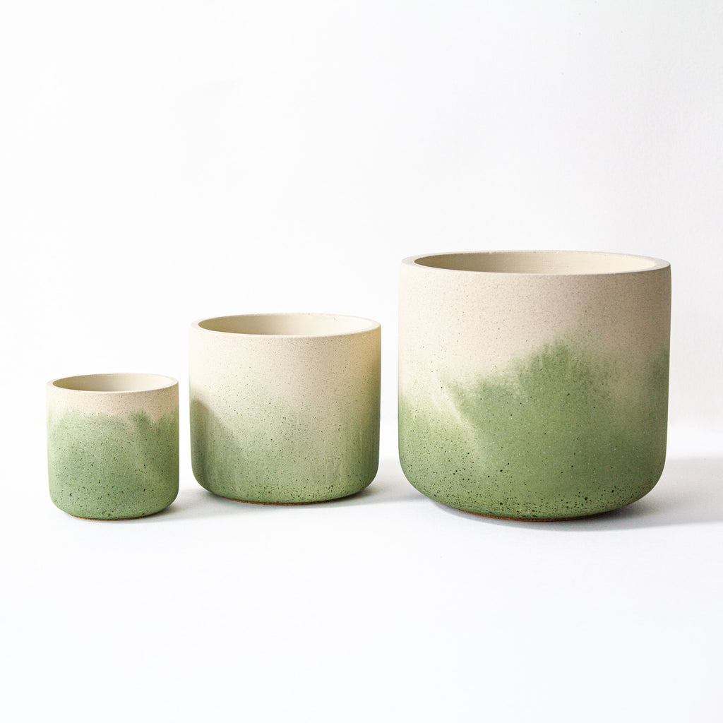 Fade Pots, Moss