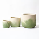 Fade Pots, Moss