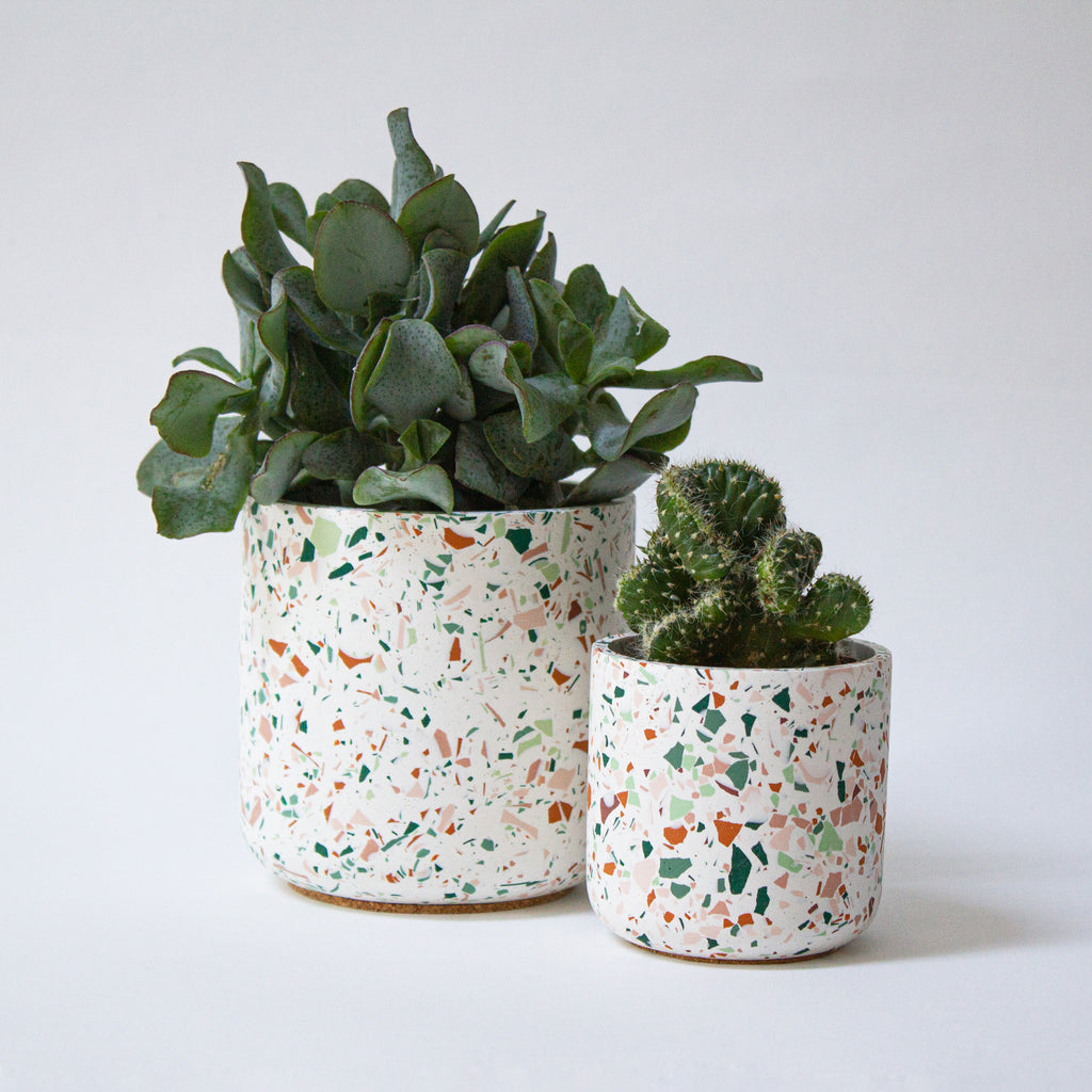 Harvest Pot, White