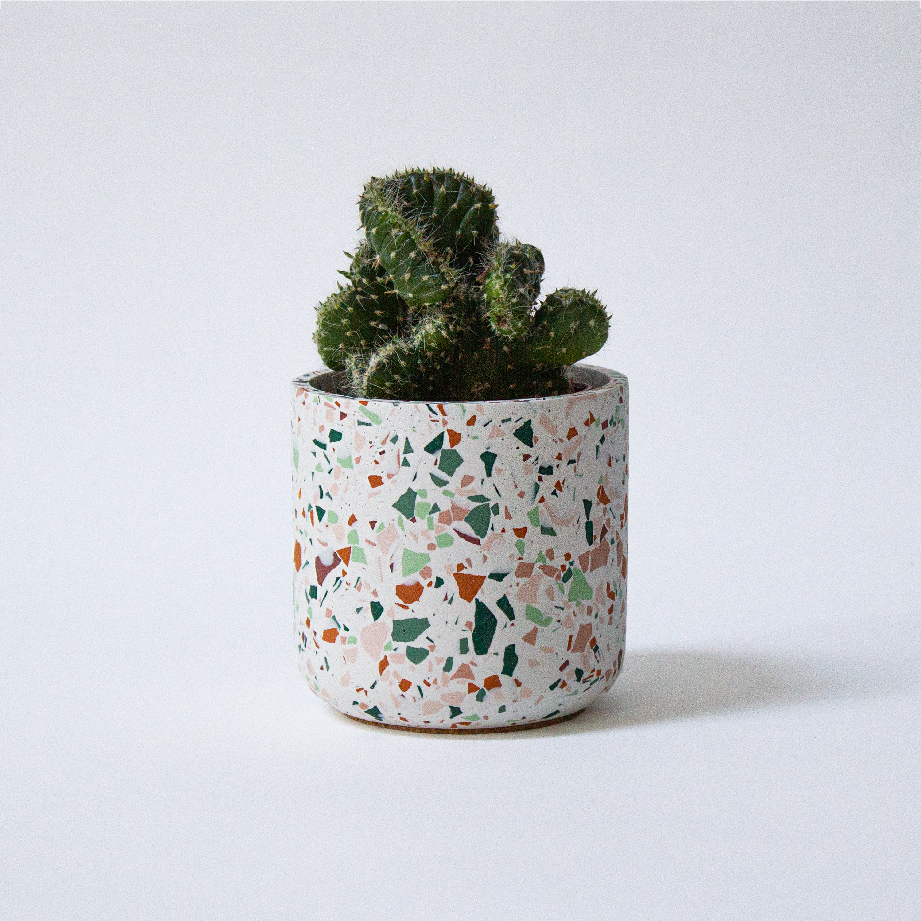 Harvest Pot, White