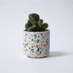 Harvest Pot, White