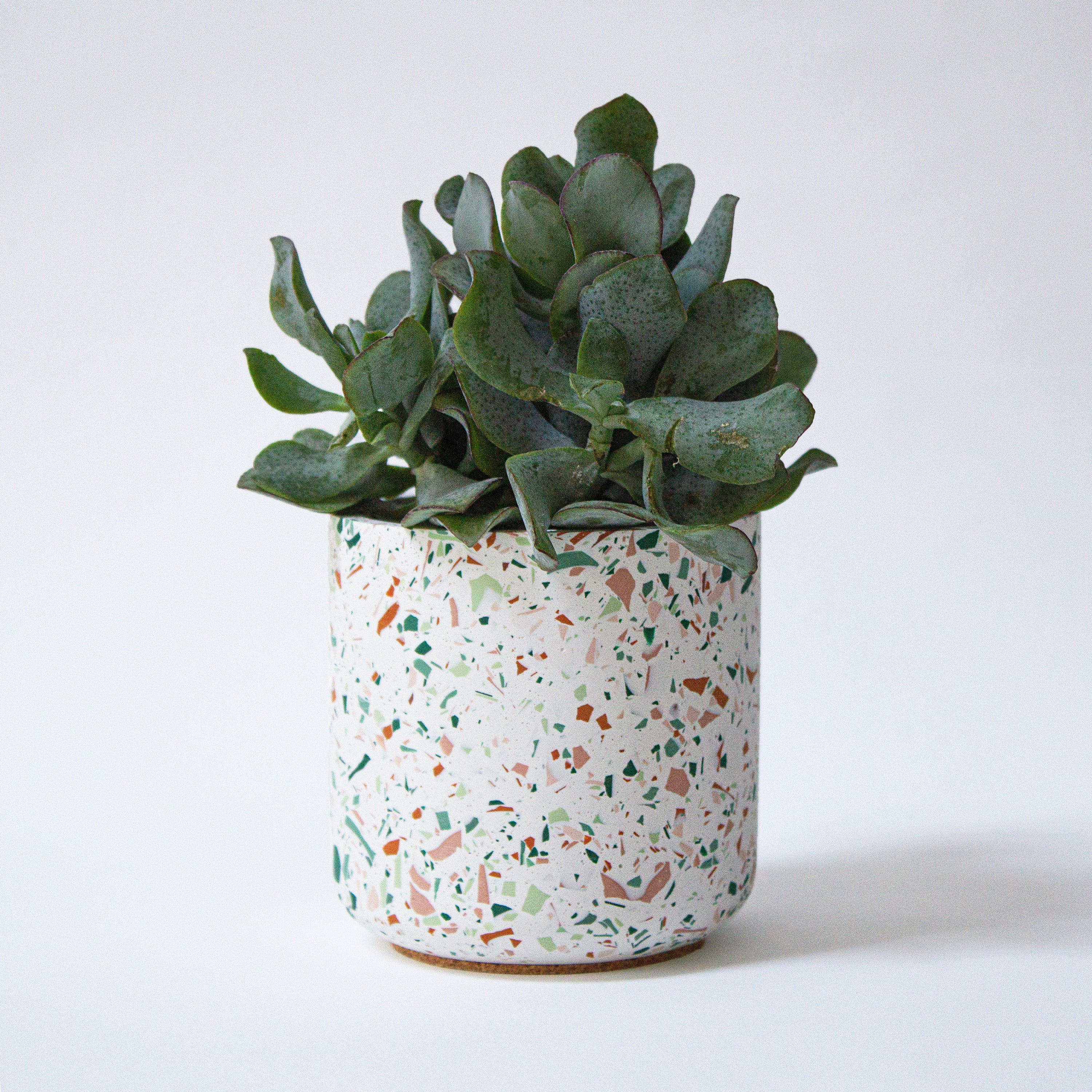Harvest Pot, White